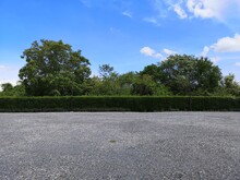 Parking Lot Sprinkled With Gravel On Tree Bush Nature Background