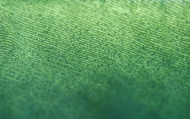 green fabric texture