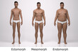 © Tritons - 3D Render : the portrait of standing male body type : ectomorph (skinny type), mesomorph (muscular type), endomorph(heavy weight type) , Front View