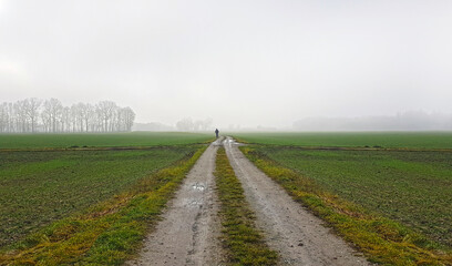 Strong morning fog above a Bavarian field, Germany