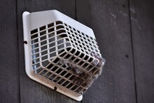 A Dryer Vent In Need Of Cleaning To Prevent A Fire.
