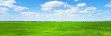 Green Field And City On The Horizon At Sunny Day Panoramic Wide Angle View