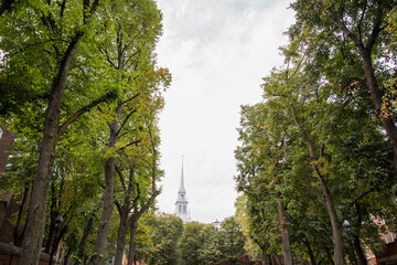 A church in between trees