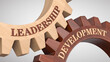 © md3d - Leadership development concept