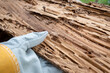 Background termite nests are traces of wood that is eaten by termites, endangering the wood by termites.