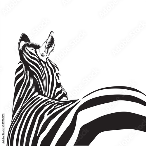 Zebra animal illustration, nature conservation vector black and white Wallpaper Mural
