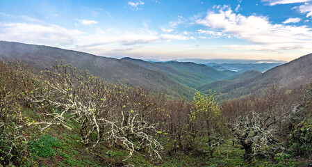 Wall Mural - blue ridge mountains near mount mitchell and cragy gardens