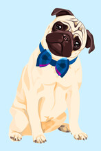 Vector Illustration Pug With Blue Bow