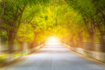 Motion blurred asphalt road and green tree landscape.