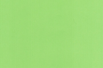 Wall Mural - green paper cardboard carton background surface wallpaper