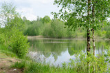 Fototapeta Dmuchawce - lake in the forest