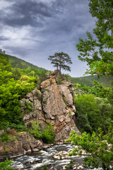 Tree and monument on top of stone by the Ibar river in Serbia. Monument is dedicated of the heroes of the WW1 and Balkan wars.