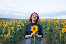 Young Woman Holding A Sunflower In A Field Of Sunflowers