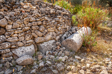 Antique column in a stone fence of an olive grove