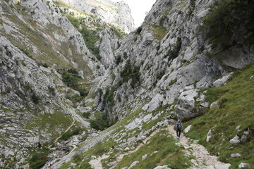 Wall Mural - Montaña