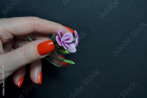 Fotografering Close up view of female hands with red manicure with flowers
