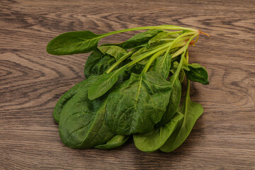 Fresh green Spinach leaves heap