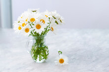 Dried Bouquet Of White Daisies Flowers In Transparent Glass Vase On The Light Gray Table In The Interior Copy Space