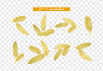 Poster - Leaves from the tree. set of realistic simple petals and leaves. Vector illustration