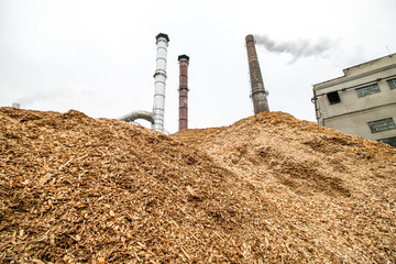 Biomass energy factory. The station uses waste wood biomass as an energy source, and provides electricity and heat. Ecological recycling factory