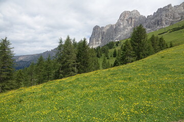 Canvas Print - Rosengarten, gesehen vom Nigerpass