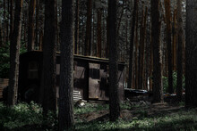 Abandoned Black House In A Pine Forest. Light Passes Through The Trees And Illuminates The Door. Photo In A Dark Key.