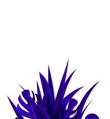 Wall Mural - tropical background with realistic palm leaves of violet color, isolated. vector illustration