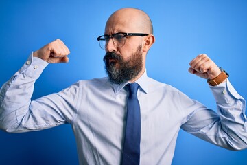 Poster - Handsome business bald man with beard wearing elegant tie and glasses over blue background showing arms muscles smiling proud. Fitness concept.