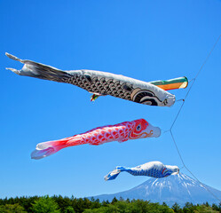 Wall Mural - Colorful koinobori carp kites at the Asagiri Highlands near Mount Fuji in Japan.