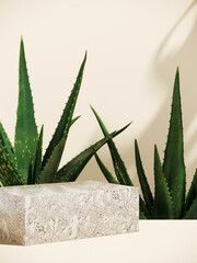 Poster - minimal cosmetic background for product presentation. stone podium and aloe vera plant with shadow o