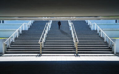 Wall Mural - Businessman climbing stairs