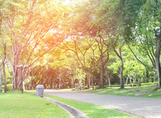 Wall Mural - Stone Pathway in the Green Park with burst light