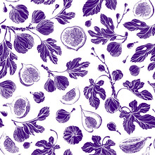 Figs Seamless Pattern. Vector Texture Print Summer