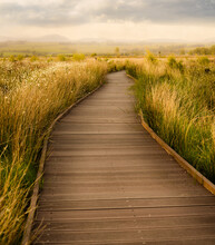 Path In The Field - Flanders Moss Nature Reserve