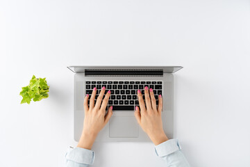 Wall Mural - Young woman’s hands using laptop on white table with flower. Office desktop. Top view