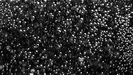 Poster - Abstract air bubbles moving underwater. Stock footage. Close up of round transparent oxygen bubbles flowing slowly isolated on black background, monochrome.