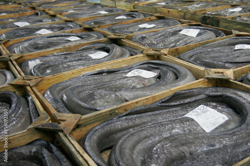 Fotomural pile wood boxes with hakes on a fish market