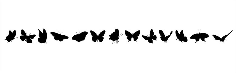 Vector silhouette of collection of butterflies on white background. Symbol of insect.