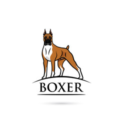 Wall Mural - Boxer dog - isolated outlined vector illustration
