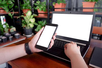 Fototapete - Cropped shot view of business woman’s hands typing the labtop with blank copy space screen for your information content or text message.