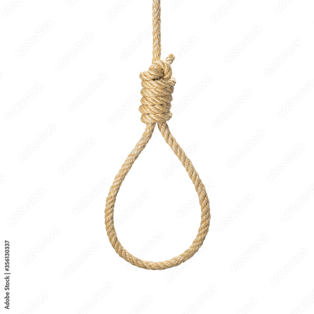 Rope noose for hangman, suicide made of natural fiber rope real photo image. Hemp rope Rope knot for gallows and Hang mans.  isolate on white background - obrazy, fototapety, plakaty 