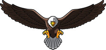 Vector Cartoon Bald Eagle With Spreaded Wings