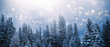 Weihnachts-Hintergrund oder bannen, schneebedeckter Nadelwald mit fallenden Flocken und Lichtern, viel Bokeh und Textfreiraum