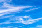 Fototapeta Niebo - Hintergrund weisse Schleierwolken am blauen Himmel