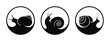 Grape snail logo. Isolated snails on white background
