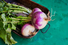 Organic Turnips From A Vegetable Box 