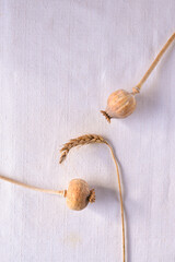 Two poppyheads and wheatear standing on the glass on the white linen background