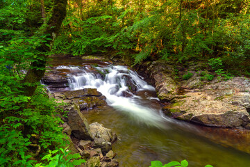 Canvas Print - Little Pigeon River 3