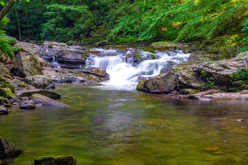 Canvas Print - Little Pigeon River 5