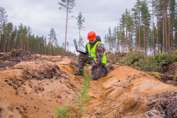 Wall Mural - Forest engineer observes the growth of pine seedlings. A forester with a computer works in the forest. The concept of reforestation on the planet. Forest worker in a helmet and vest.